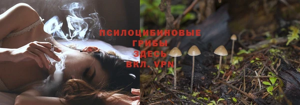 спайс Аркадак