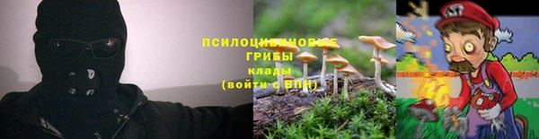 гидропоника Армянск