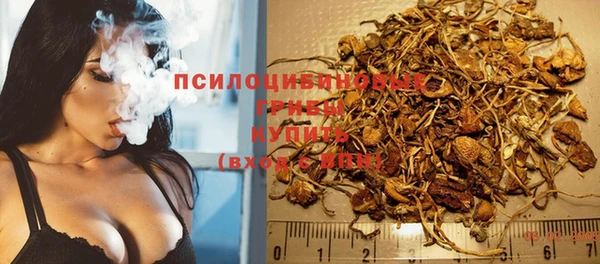наркотики Алексин